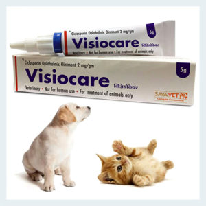 Visiocare (Optimmune) Eye Ointment 5g